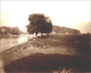 Banks of the Neris River