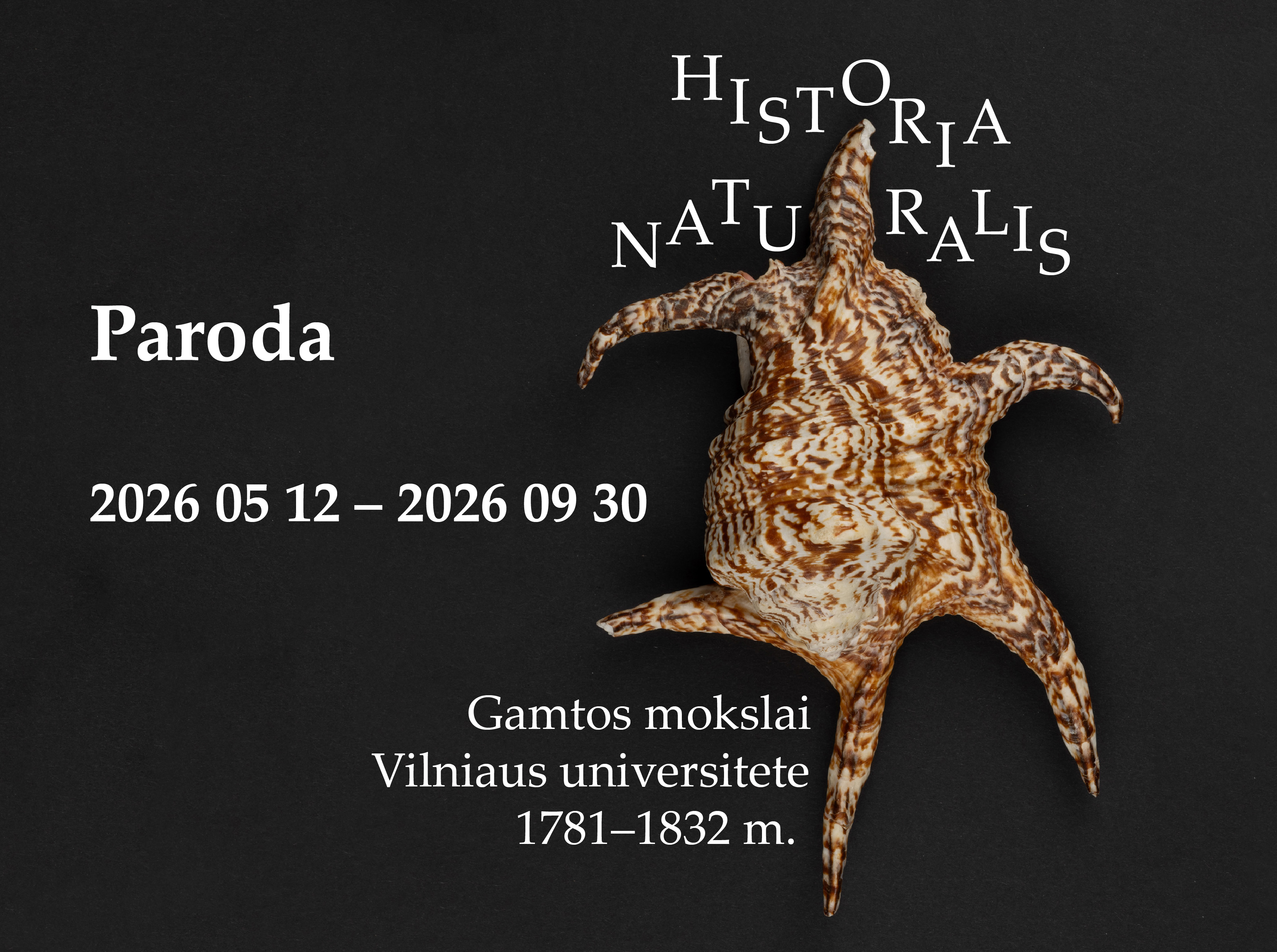 Baneriai svetainei paroda Historia 01 1
