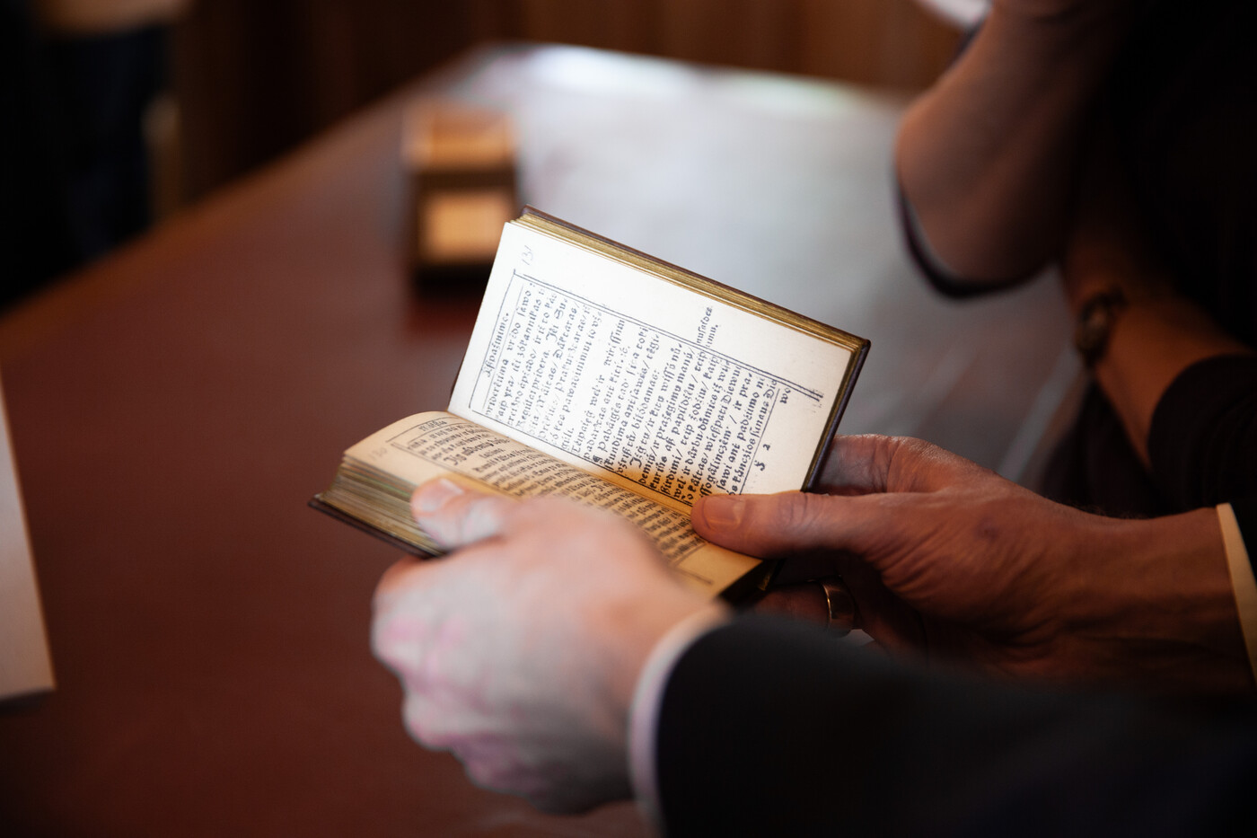 Daukšos faksimilė 2