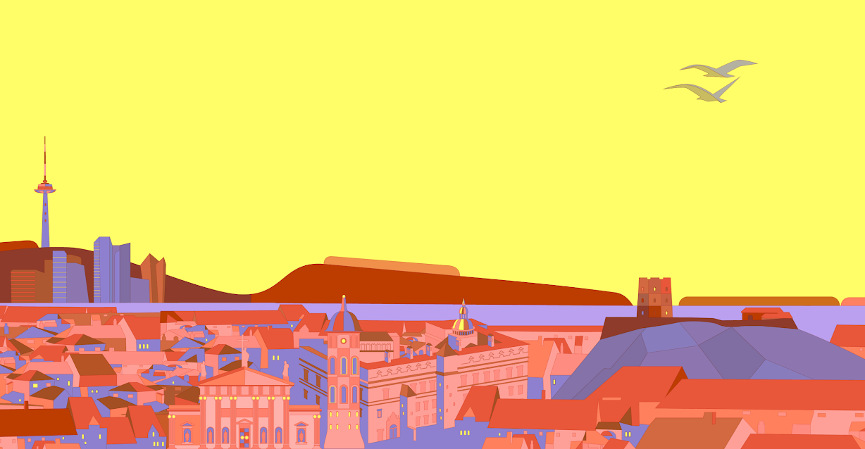 Vilnius from the sky part of visual identification designed by Lina Disciplina
